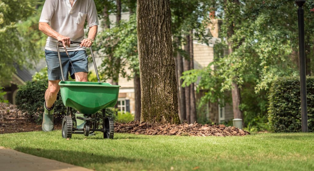 Person Fertilizing Lawn