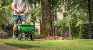 Person Fertilizing Lawn